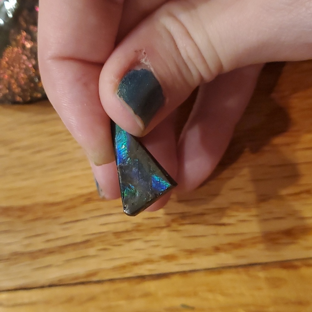 Ammolite fossil lot - Picture 6 of 12